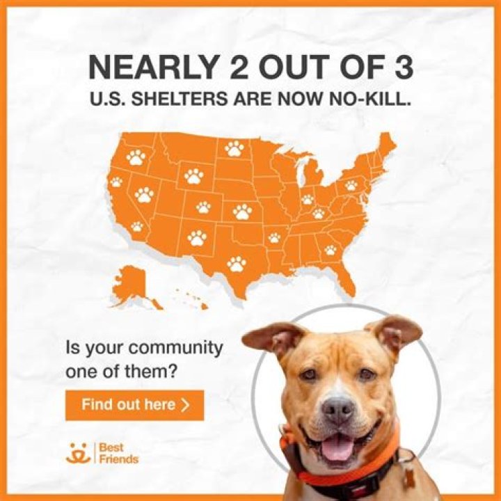 Are there kill shelters in Illinois?