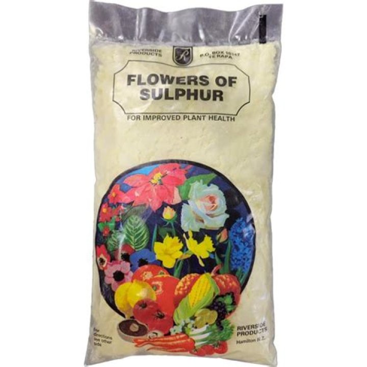 Can I eat flowers of Sulphur?