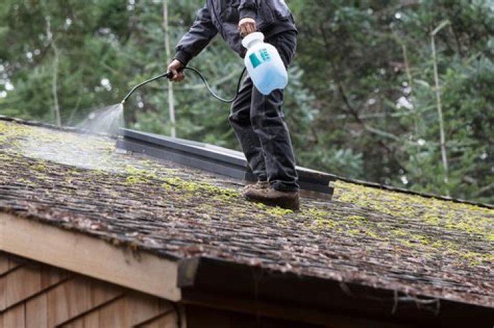 Does bleach kill moss on roof?