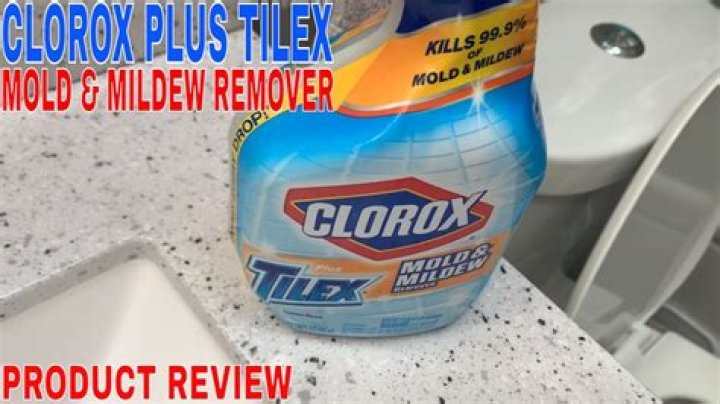 Does Clorox kill mold spores?