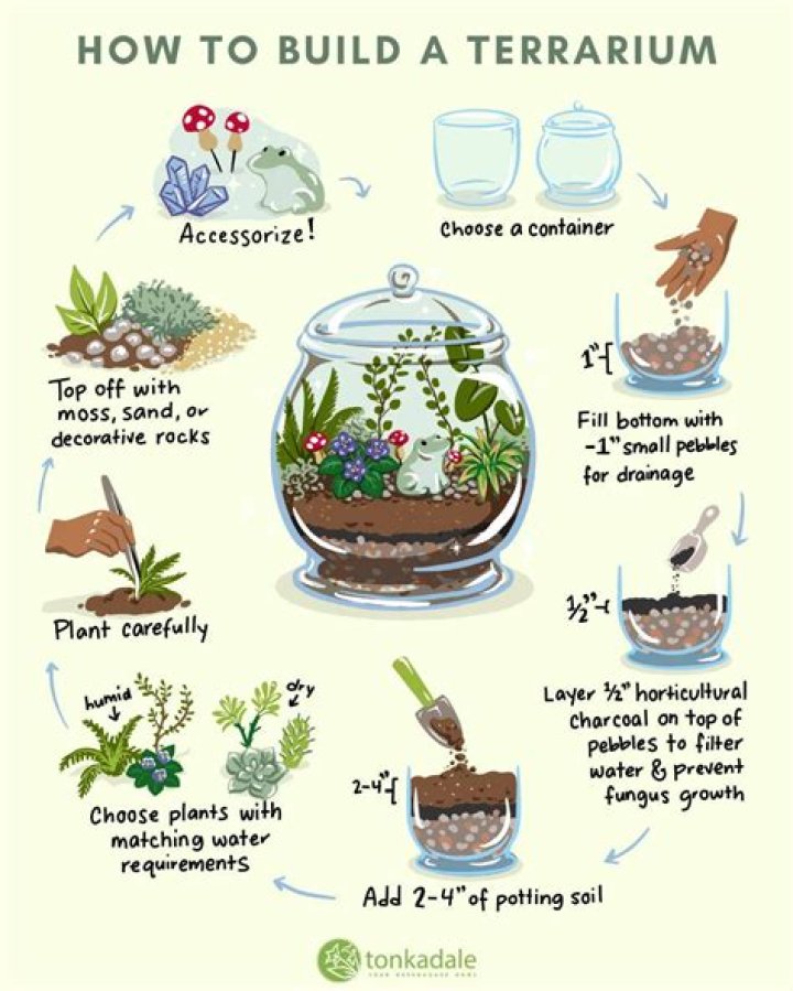 How do you make a glass bowl for a terrarium?