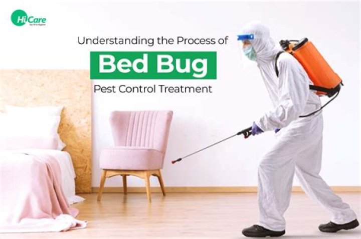 How many chemicals does it take to treat bed bugs?