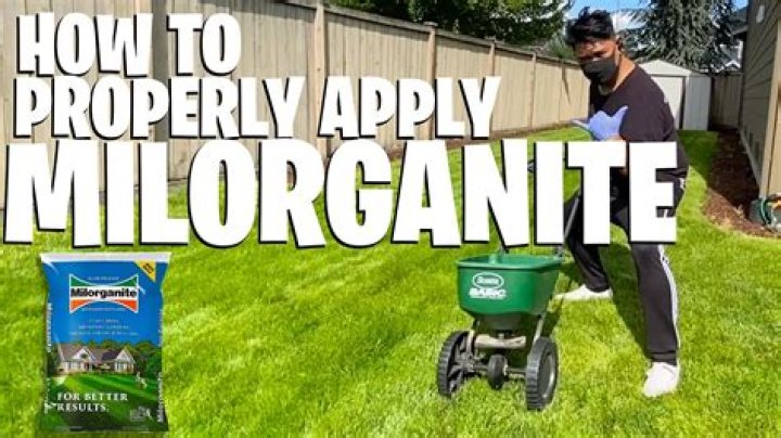 How often can you apply milorganite to lawn?