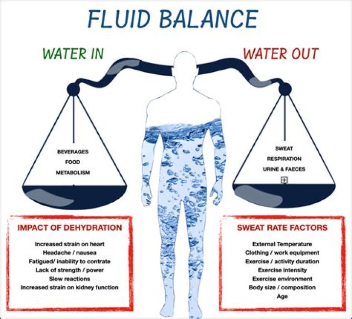 What are fluid explain?