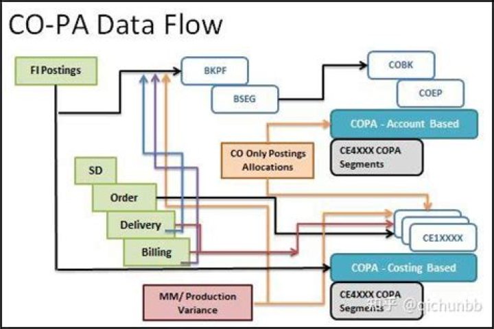 What does co mean in SAP?