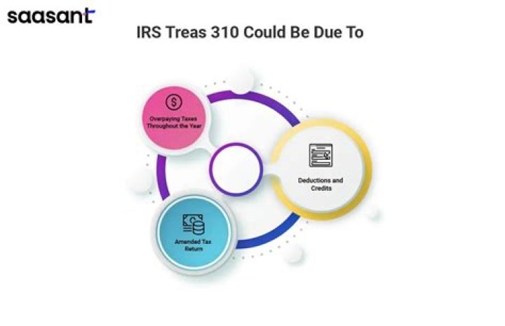 What does Treas 310 mean?