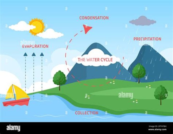 What happens after evaporation in the water cycle?
