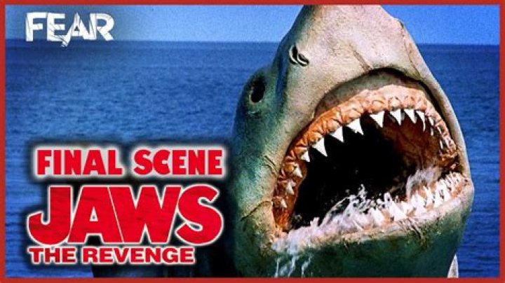 What happens at the end of Jaws?