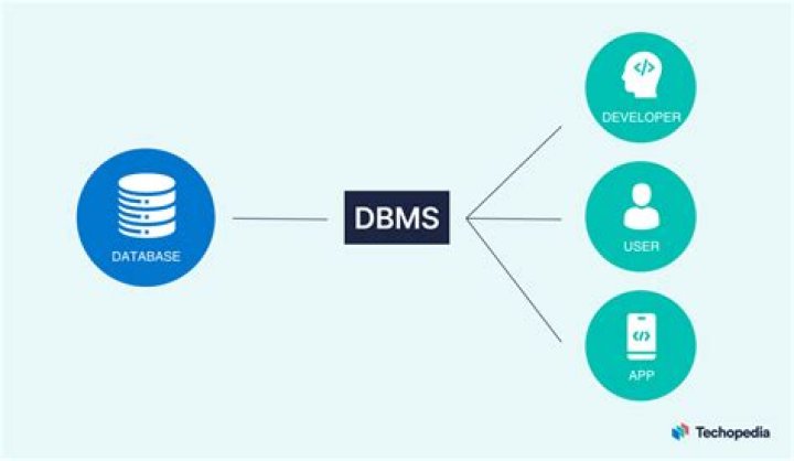 What is DBMS user? | ContextResponse.com