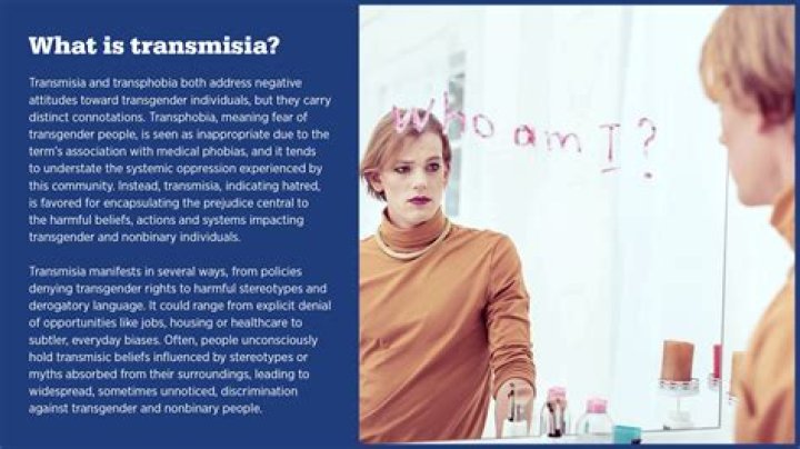 What is meaning of bar in law?