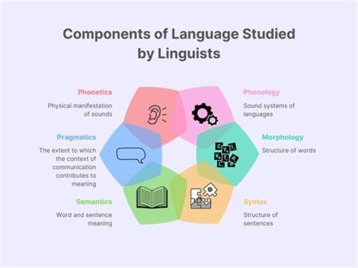 What is Protolanguage in linguistics?
