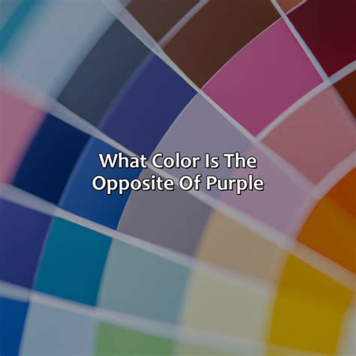 What is the opposite of a DNR?