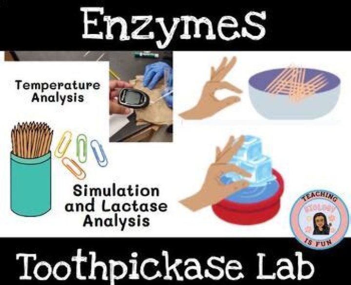 What is the purpose of the Toothpickase lab?