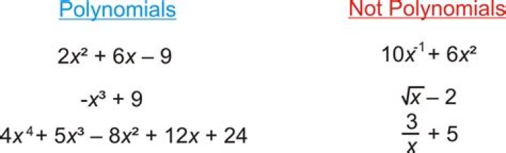What makes a function not a polynomial?