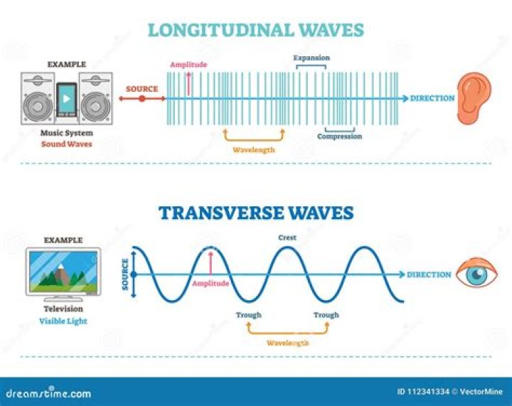 Which best describes a longitudinal wave?