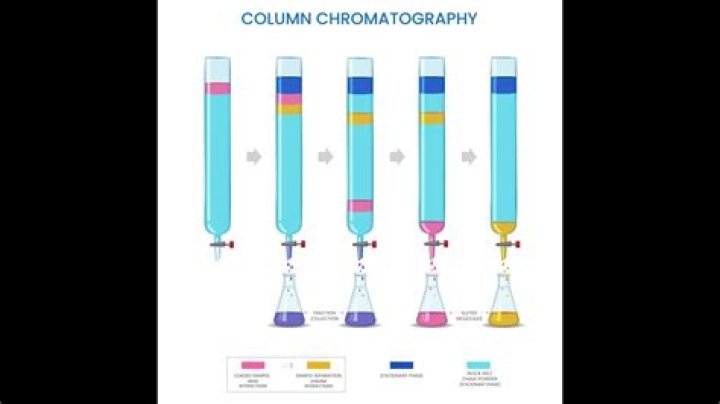 Which compound elutes first in column chromatography?